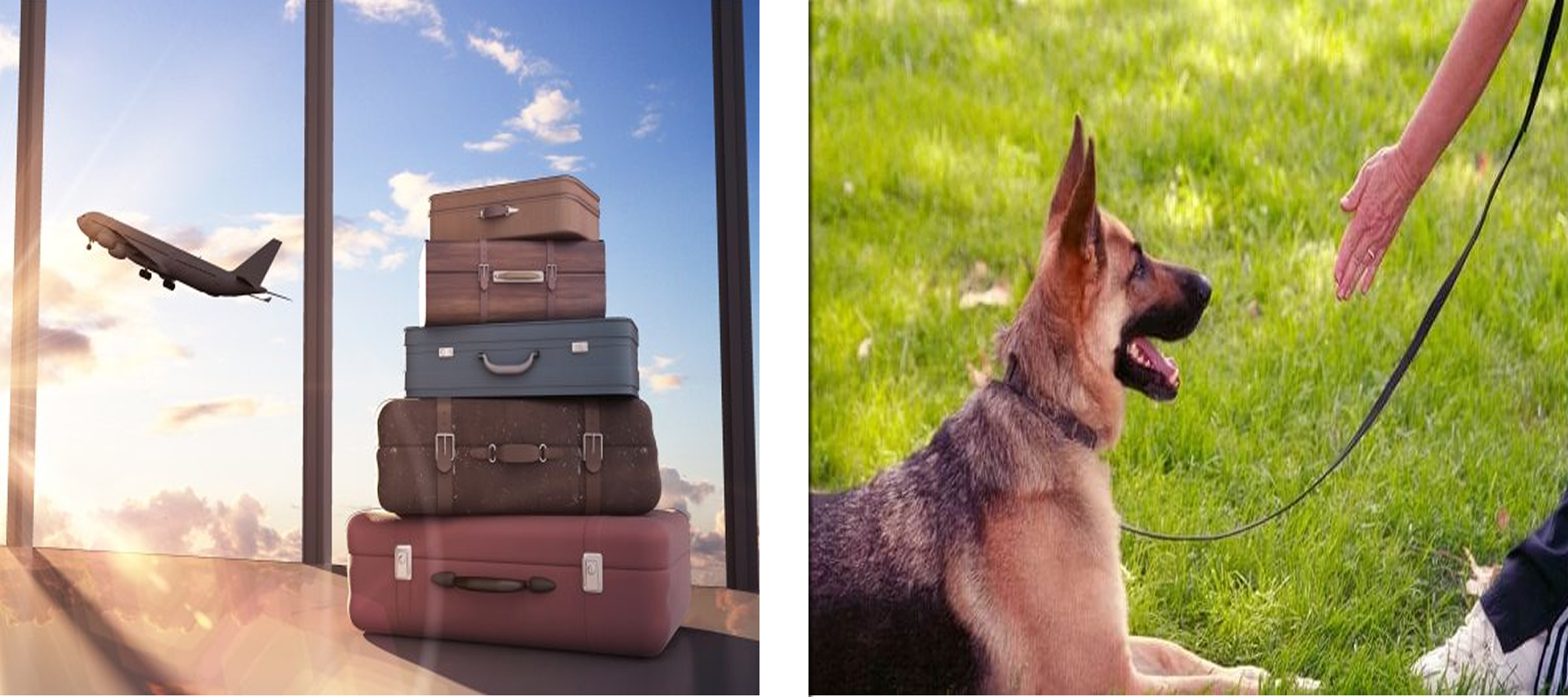 Worldwide freight services